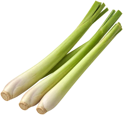 Three stalks of fresh lemongrass